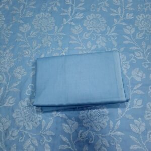 Breeze Style 2pc Lawn Embroided Sky Blue